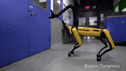 Open Door Spot GIF by MOODMAN