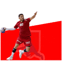 Rukomet Crohandball Sticker by RKPorec