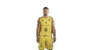 Vamos Liga Endesa Sticker by ACB