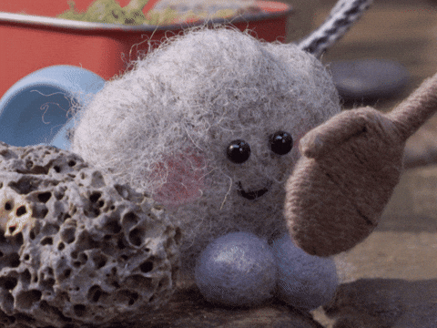 tweedyandfluff giphyupload love cute hello GIF