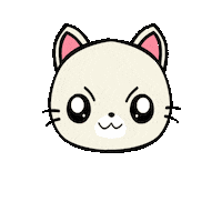 prock_inorbit cat crypto pussy dogecoin Sticker