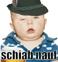Goasmass Zefix Sticker by vollgoas
