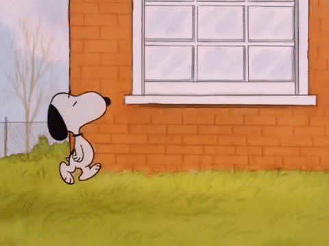 charlie brown GIF by Peanuts