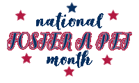 Holiday Pet Sticker by Foster Bubbies