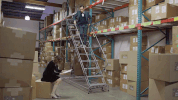 fail season 7 GIF