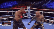 top rank trboxing GIF by Top Rank Boxing