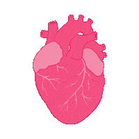 JesFortner_Illustration love heart illustration sticker Sticker