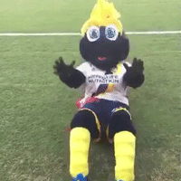 lavcol GIF by LA Galaxy