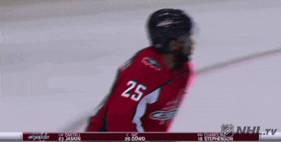 ice hockey spinning GIF by NHL