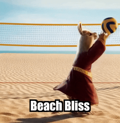 Summer Beach GIF by dalaillamazen