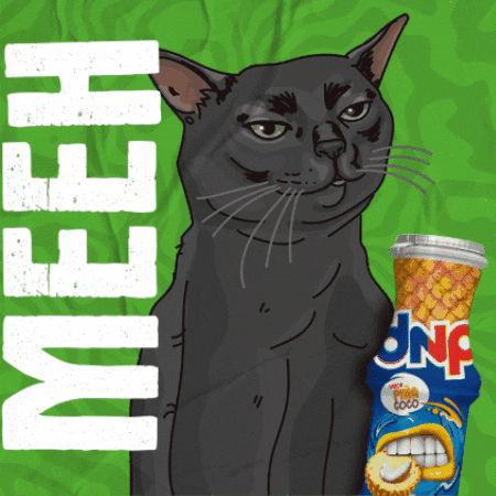 Meh Cats GIF by DANONE
