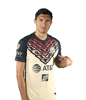 Football Sport Sticker by Club America