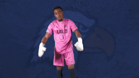 Goalkeeper Keeper GIF by Carson-Newman Athletics