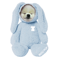 tired good morning Sticker by MISO PUP