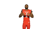 Utah Utes Sticker by Utah Football