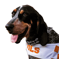 Vols Smokey Sticker by UT Knoxville