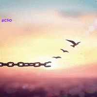 Pop Culture Lol GIF