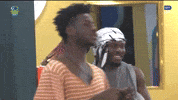 Bbnaija GIF by Big Brother Naija