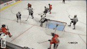 hawkskings GIF by RedEye Chicago