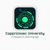 karthithehacker hackers cappriciosec cappriciosecuniversity cappriciosec university GIF