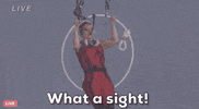 What A Sight GIF by Volcano Live! with Nik Wallenda
