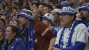 Football Soccer GIF by FC Schalke 04