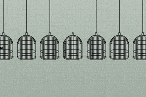 Animation Bird GIF by braindead.gif