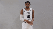 Aggiesalltheway GIF by USUAthletics