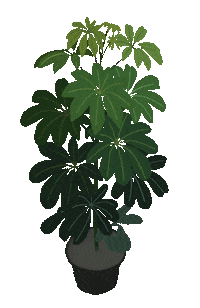 Plants Jungle Sticker