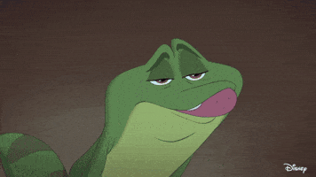 The Princess And The Frog Tiana GIF by Disney Princess