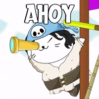 Aye Aye Pirate GIF by LilSappys
