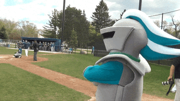 collegeoflakecounty sports yes school college GIF