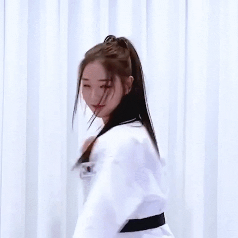 K Pop Fighting GIF