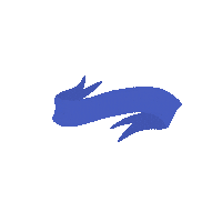swanseadesign swanseasu anwenwilliams Sticker