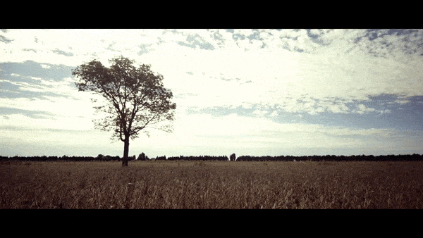 The War Art GIF by SYML