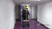 washington capitals 2017 stanley cup playoffs GIF by NHL