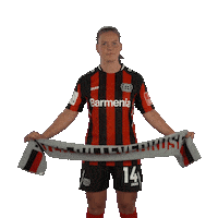 Team Club Sticker by Bayer 04 Leverkusen