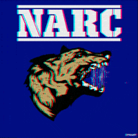 Dog Fox GIF by Animation Domination High-Def