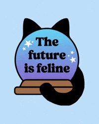 Black Cat GIF