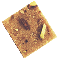 Fortunediwali Sticker by Fortune Foods