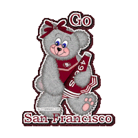 San Francisco Football Sticker by imoji