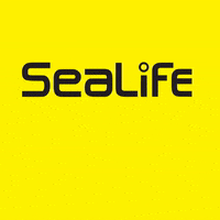 sealifecameras camera diving underwater scubadiving GIF