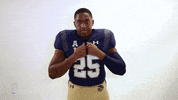College Football Go Navy GIF by Navy Athletics