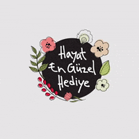 pasabahce hayatengüzelhediye paşabahçemağazaları pasabahcemagazalaricom GIF