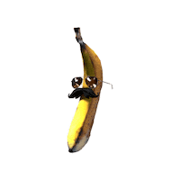 Fruit Pain Sticker