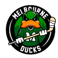 Ice Hockey Sticker by icehq