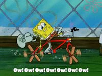 season 4 GIF by SpongeBob SquarePants