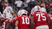 Football Calm Down GIF by New England Patriots