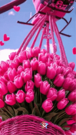 Amigos Buenos Dias GIF by Murcianys LLC