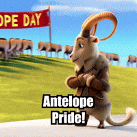 GIF by Radiantelope